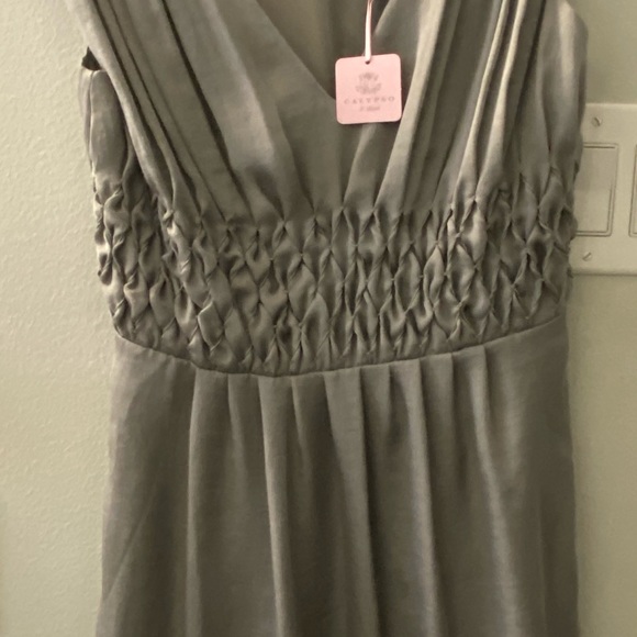 Calypso St Barth Dress XS NWT - Picture 2 of 3